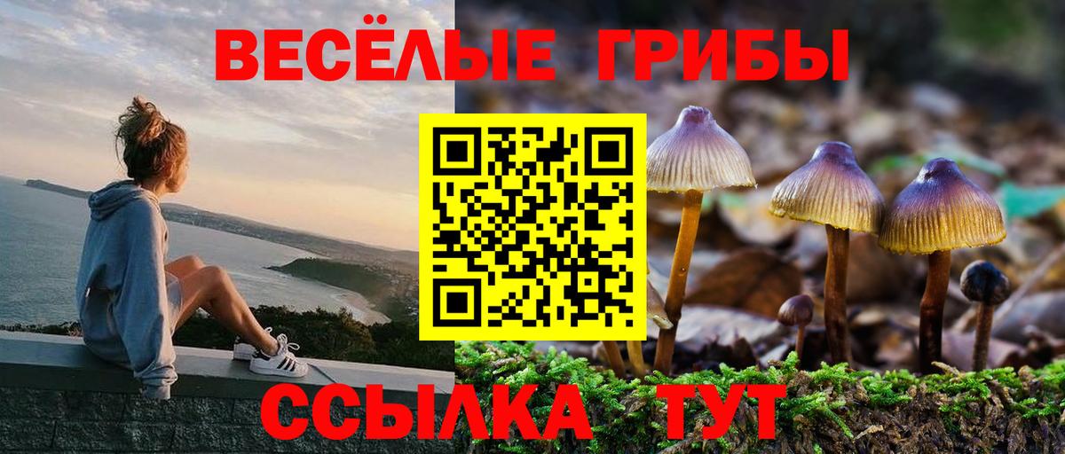 Галлюциногенные грибы мицелий Строитель
