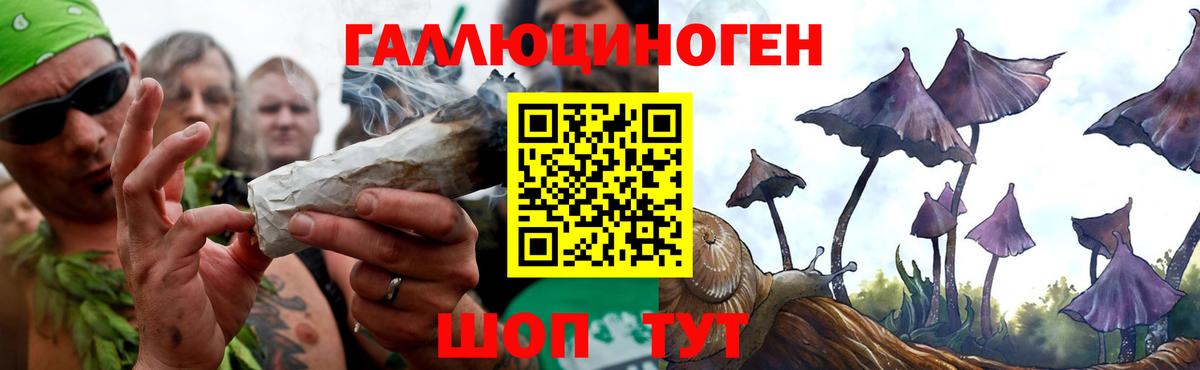 Галлюциногенные грибы мухоморы  где продают наркотики  Строитель  Вход с VPN  Псилоцибиновые грибы ЛСД 